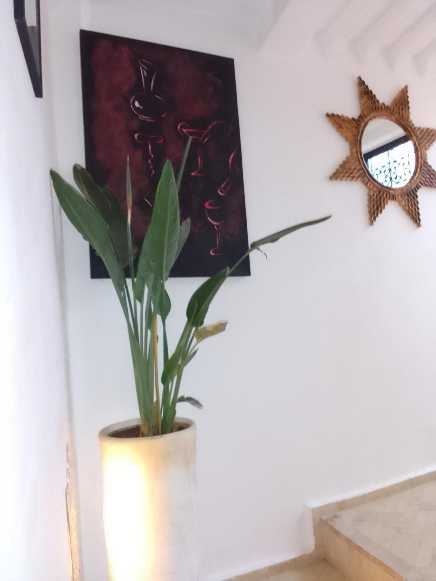 Riad Beni Sidel مراكش المظهر الخارجي الصورة